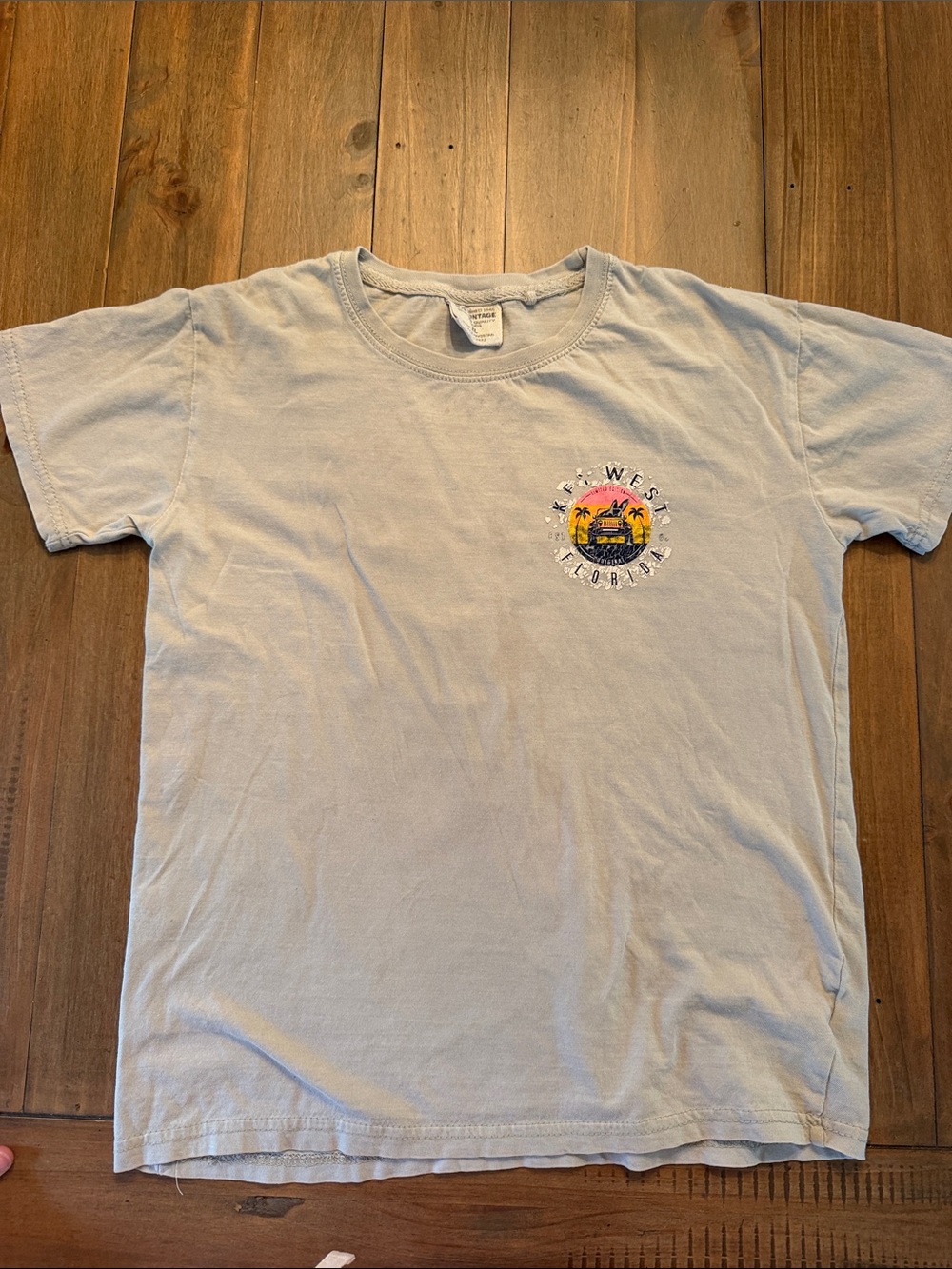 Light Blue Graphic Crewneck T-Shirt - Coastal Palm Design
